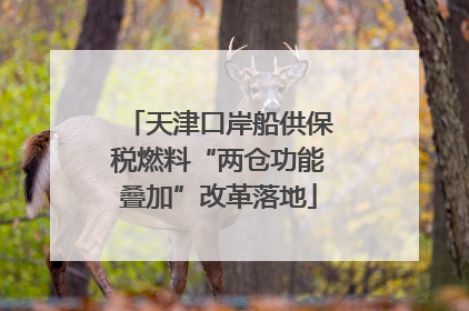 天津口岸船供保税燃料“两仓功能叠加”改革落地